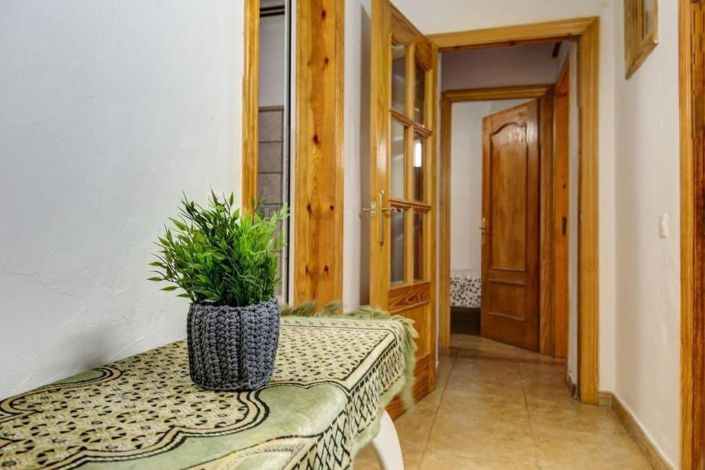7 Pax Montserrat Ramblas Barcelona Барселона Екстериор снимка